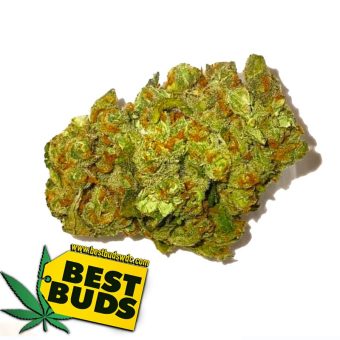Green Crack
